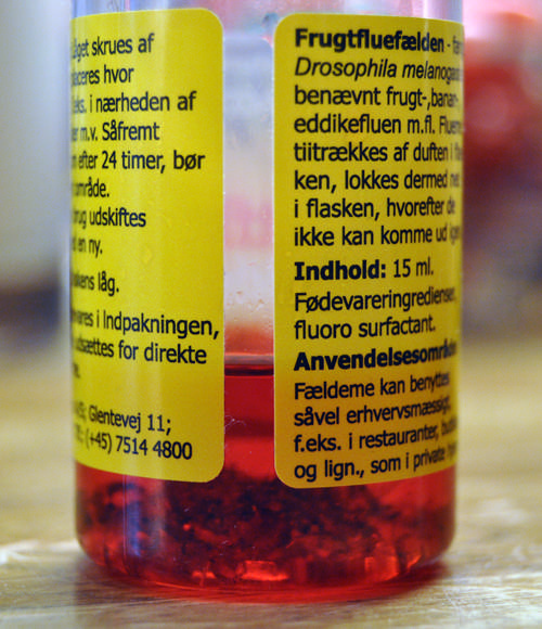 Fruktfluefelle m/lokkestoff liten