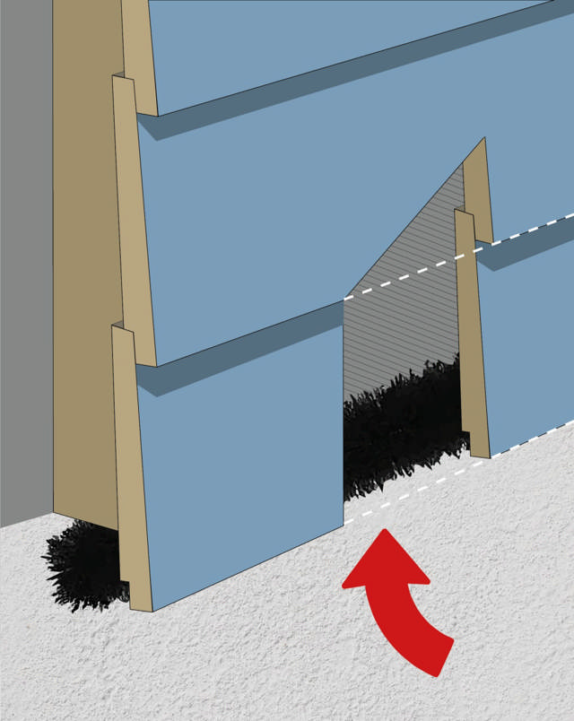 Musebørste & Rottebørste PROFF 5 M x 8 CM